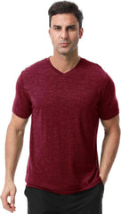 Merino Protect 100% Merino Wool V-Neck T Shirts for Men Odor Resistance Base Layer Hiking Travel T-Shirt Soft Undershirt
